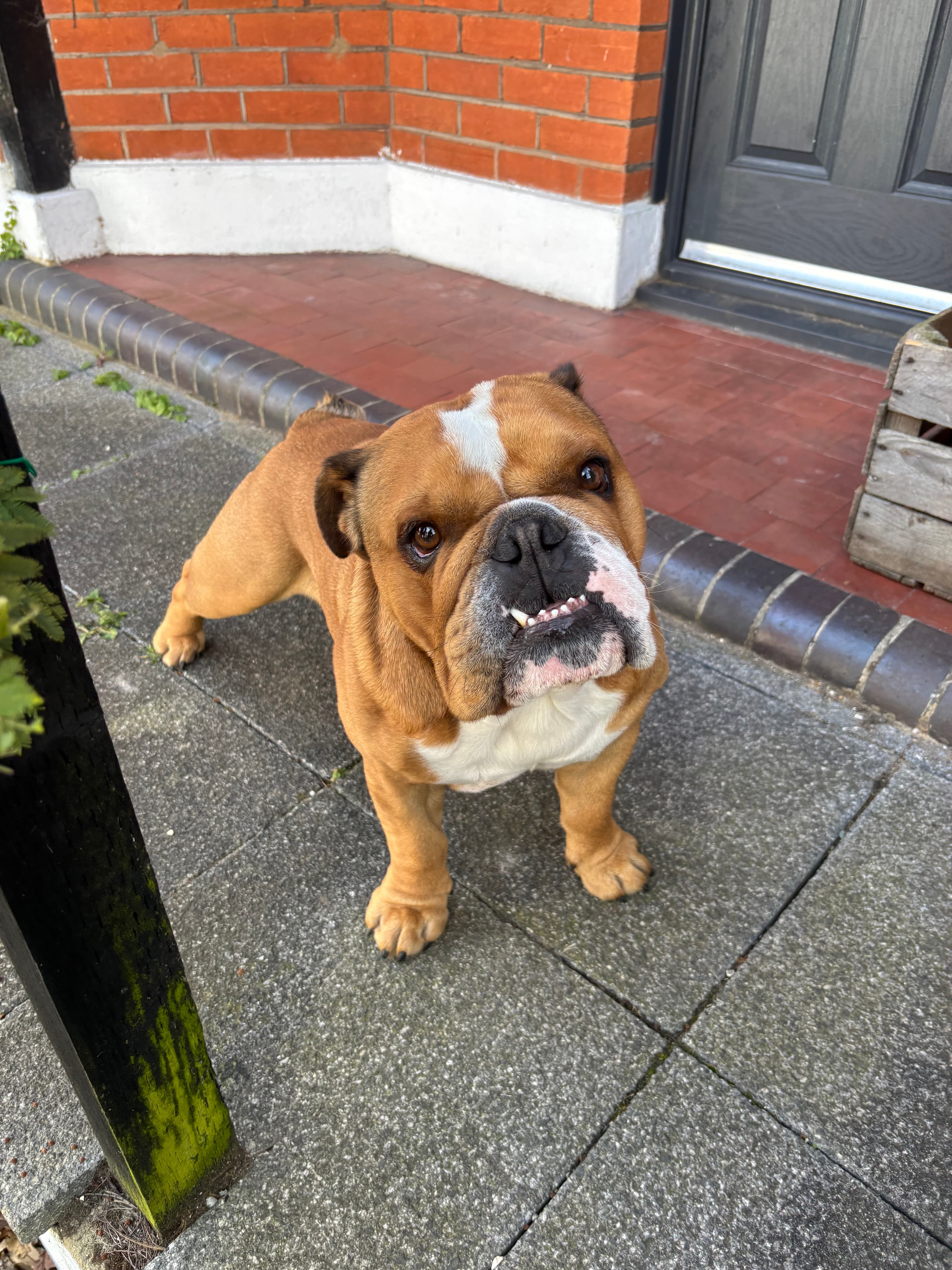 Clyde