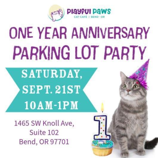 Sept 21 - Playful Paws Cat Cafe Anniversary Party