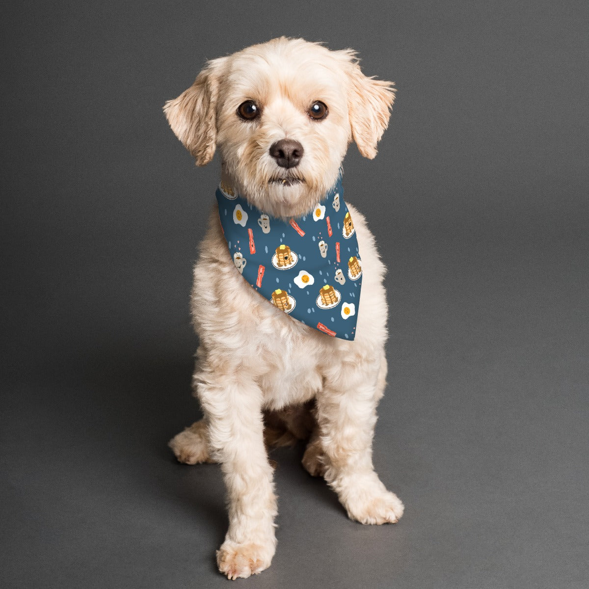 Breakfast & Eat Me - Double Sided Dog Bandana