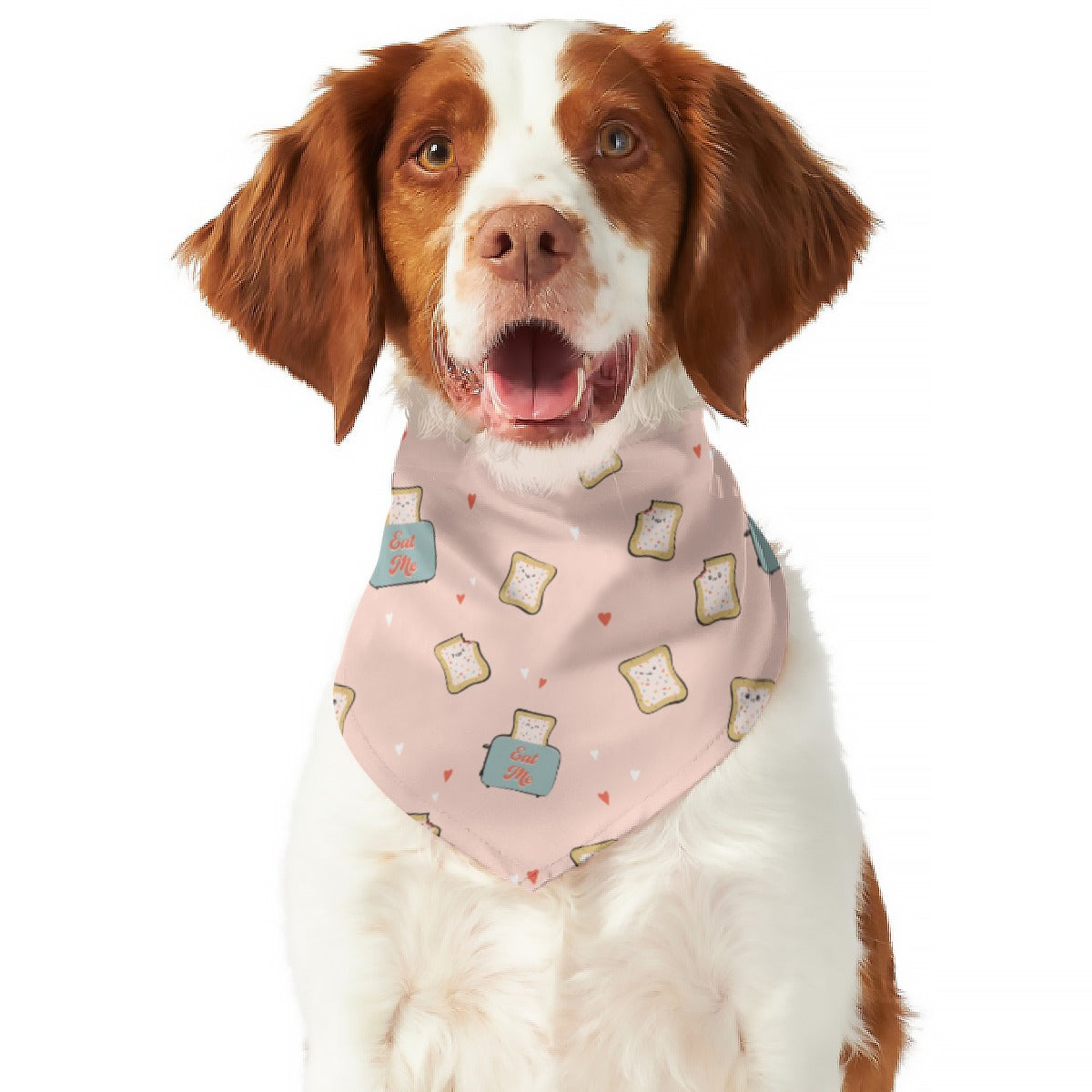 Breakfast & Eat Me - Double Sided Dog Bandana