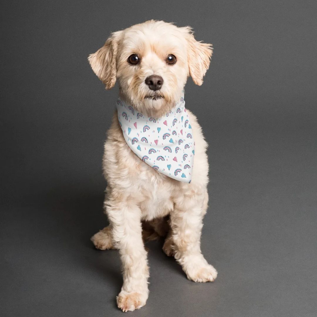 Rainbow Pride - Double Sided Dog Bandana