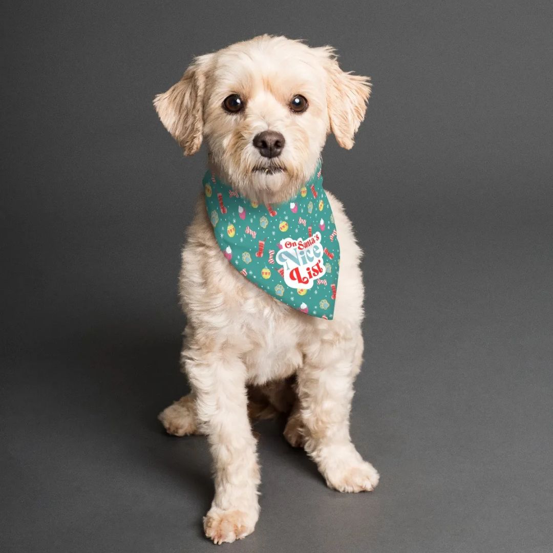 On Santa's Naughty AND Nice List - Double Sided Dog Bandana